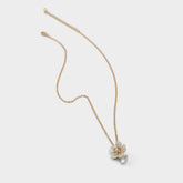 Aldo Alexianie Ice Women's Cubic Zirconia - Necklace Ice