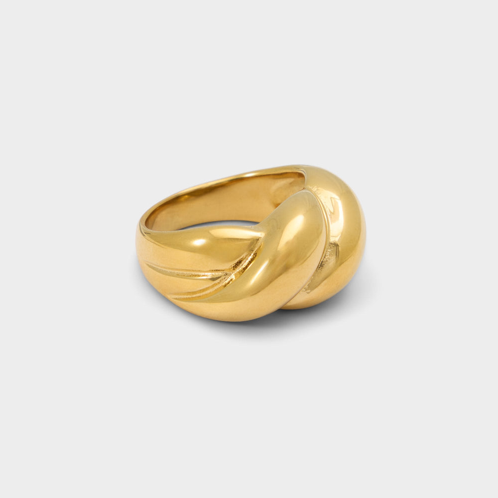 Aldo Twiste in Gold - Ring Gold