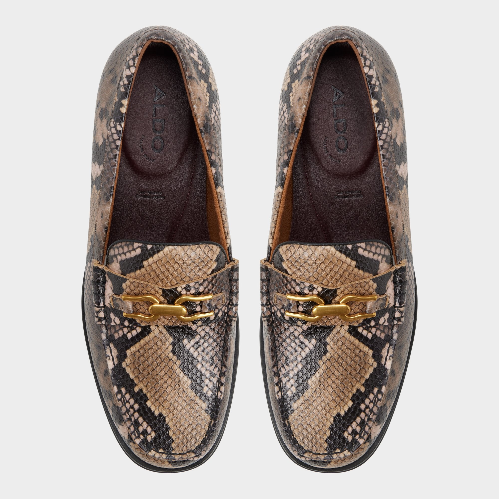 Aldo Edouard in Brown Multi - Loafer Brown multi