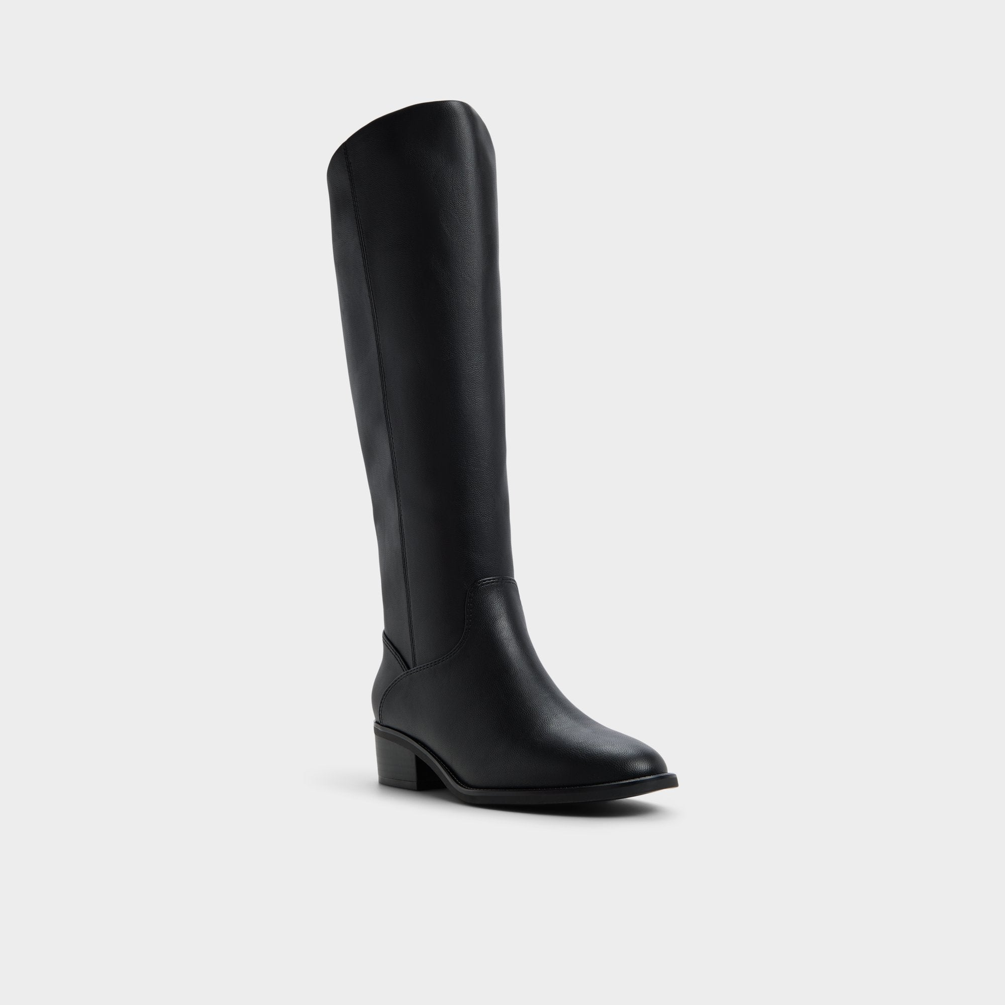 Aldo Kaydienh in Black - Knee-high boot, Block heel Black