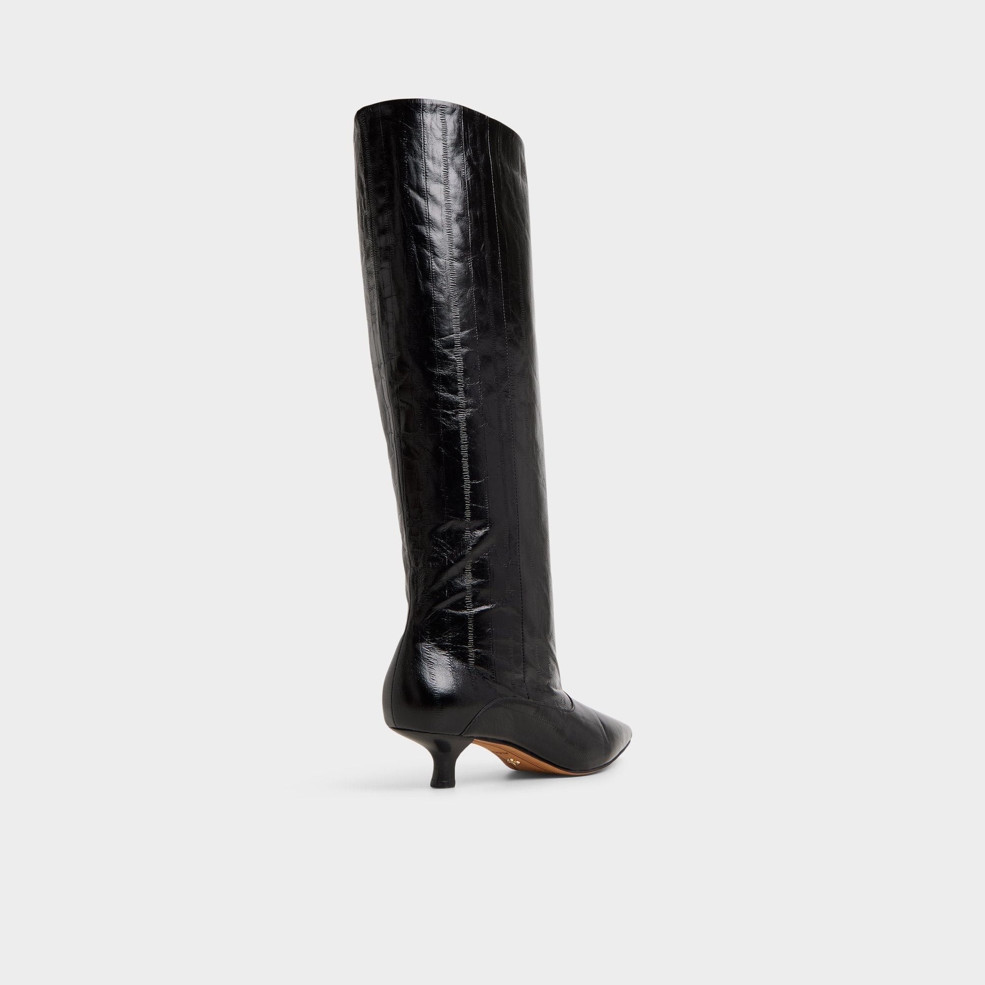 Aldo Everose in Black - Knee-high boot, Kitten heel Black