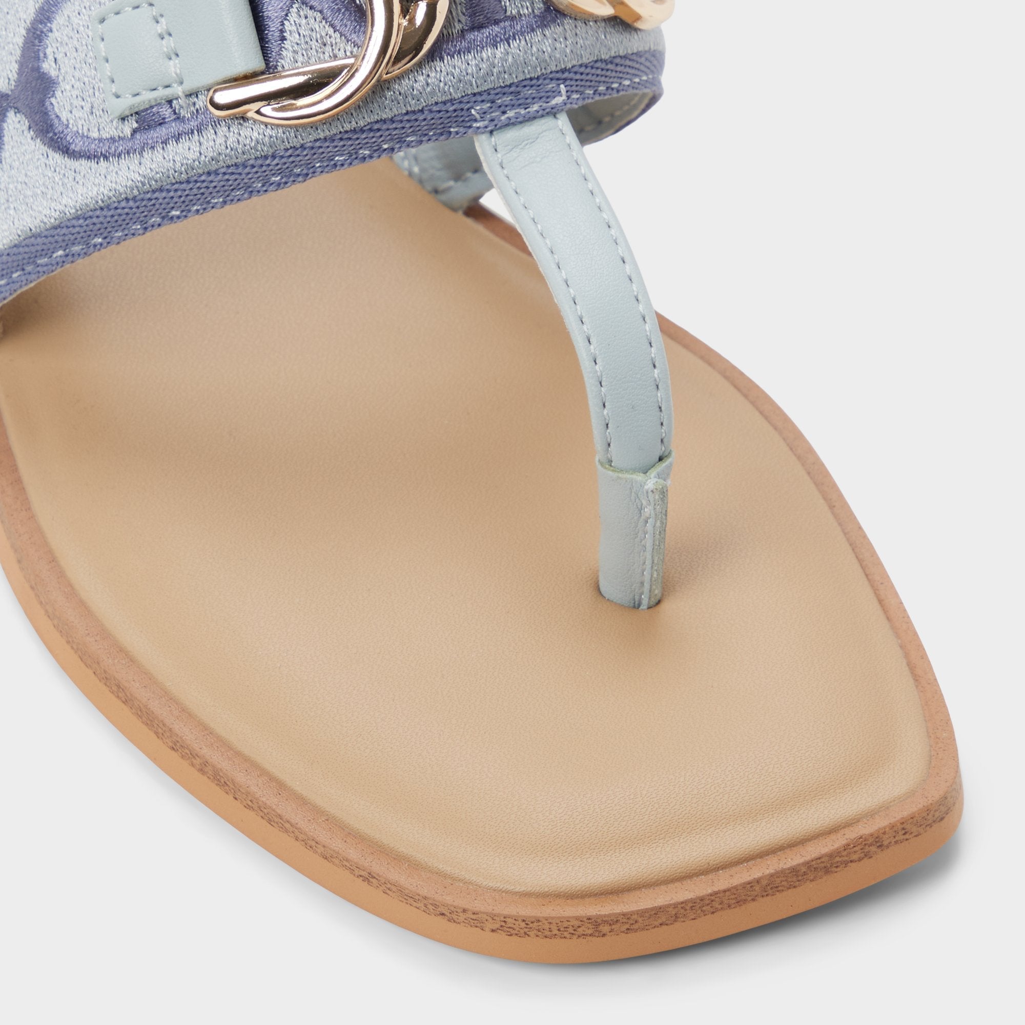 Aldo Coralynna in Other Blue - T-strap sandal Other Blue