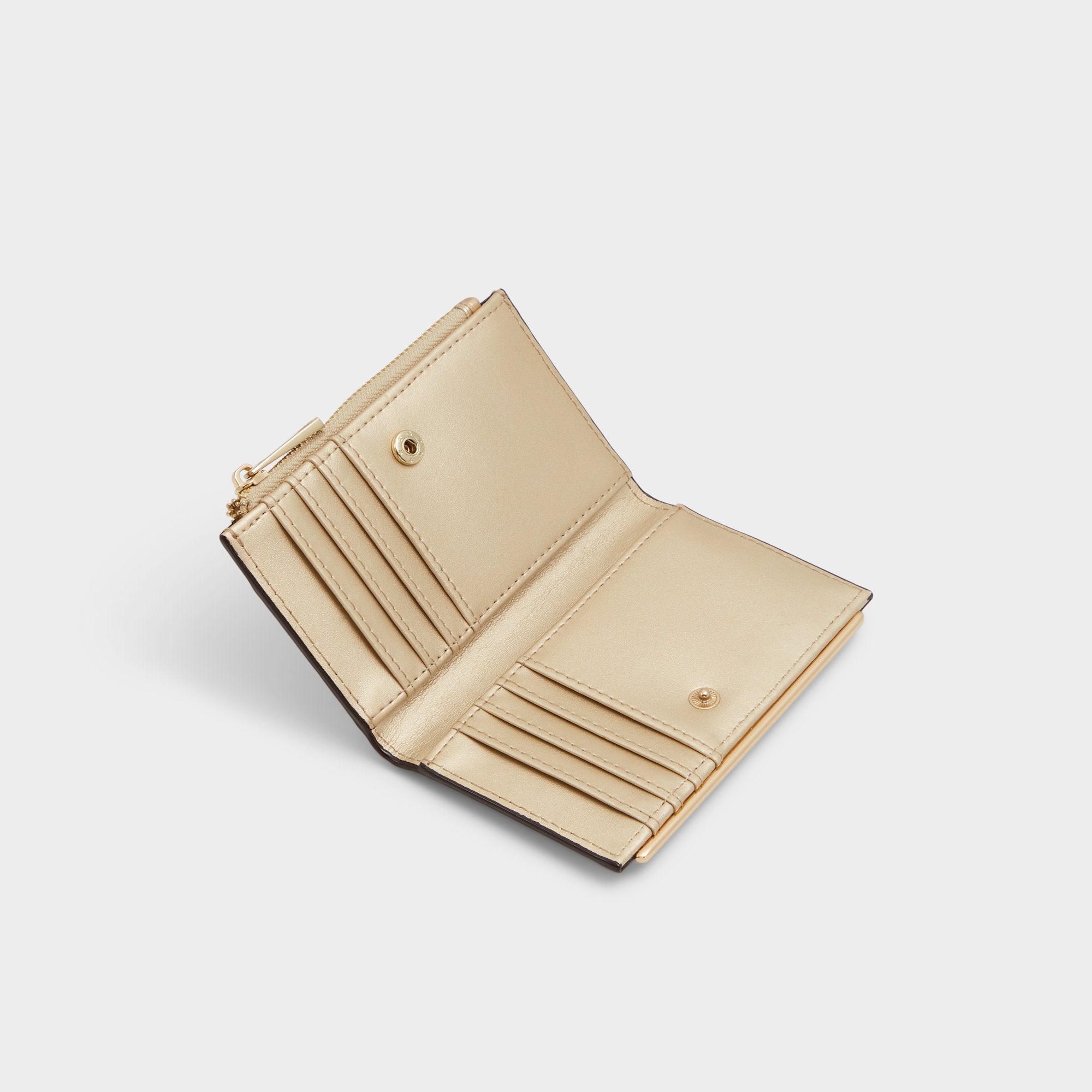 Aldo Mereclyaa in Gold 14270295 - Wallet Gold