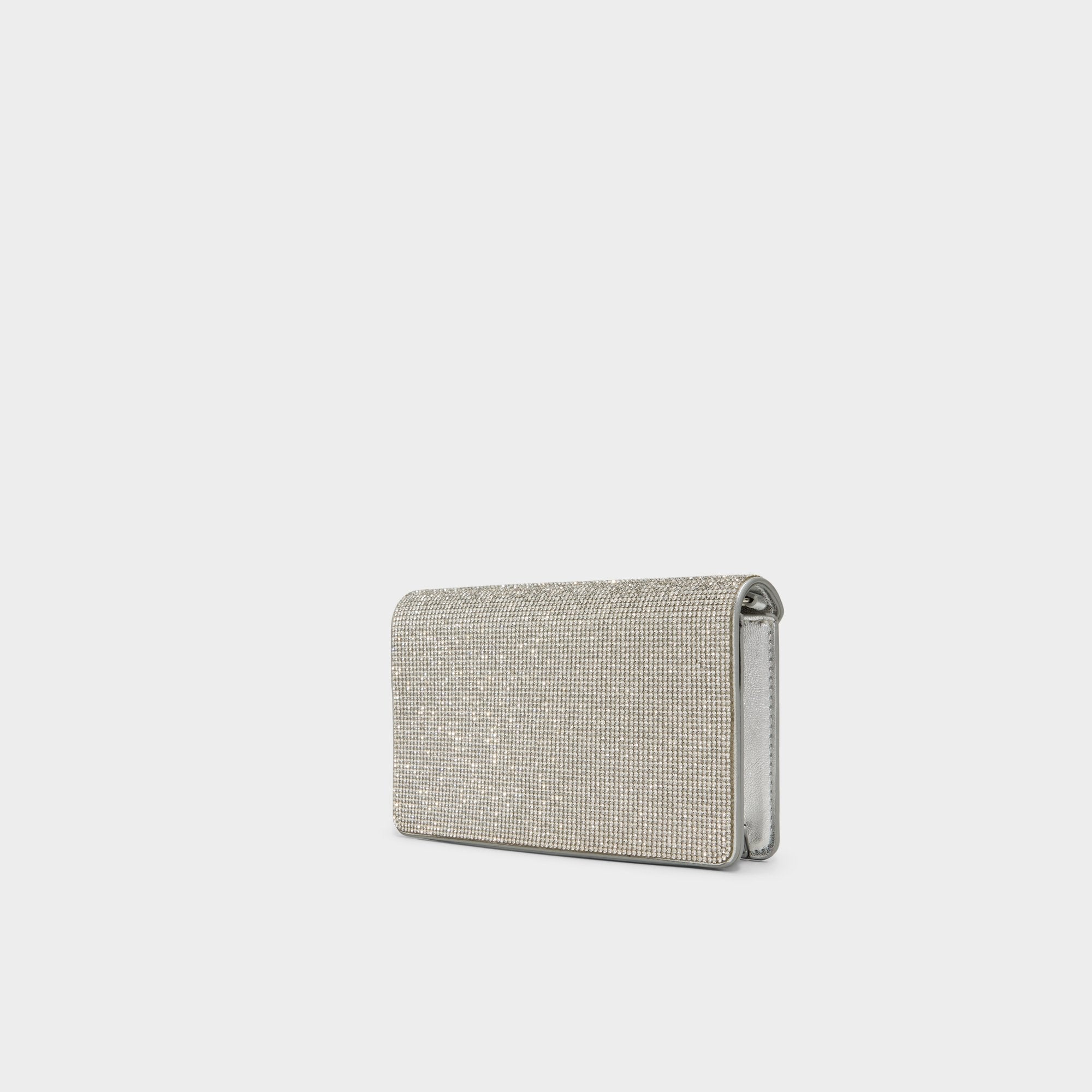Aldo Brimortonblngg in Silver - Wallet Silver
