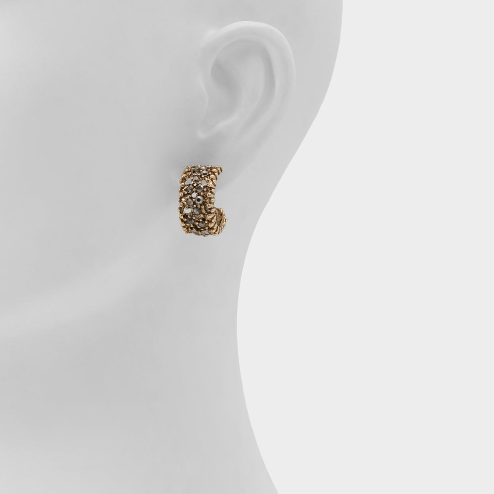 Aldo Maplevale in Grey - Hoop earrings Grey