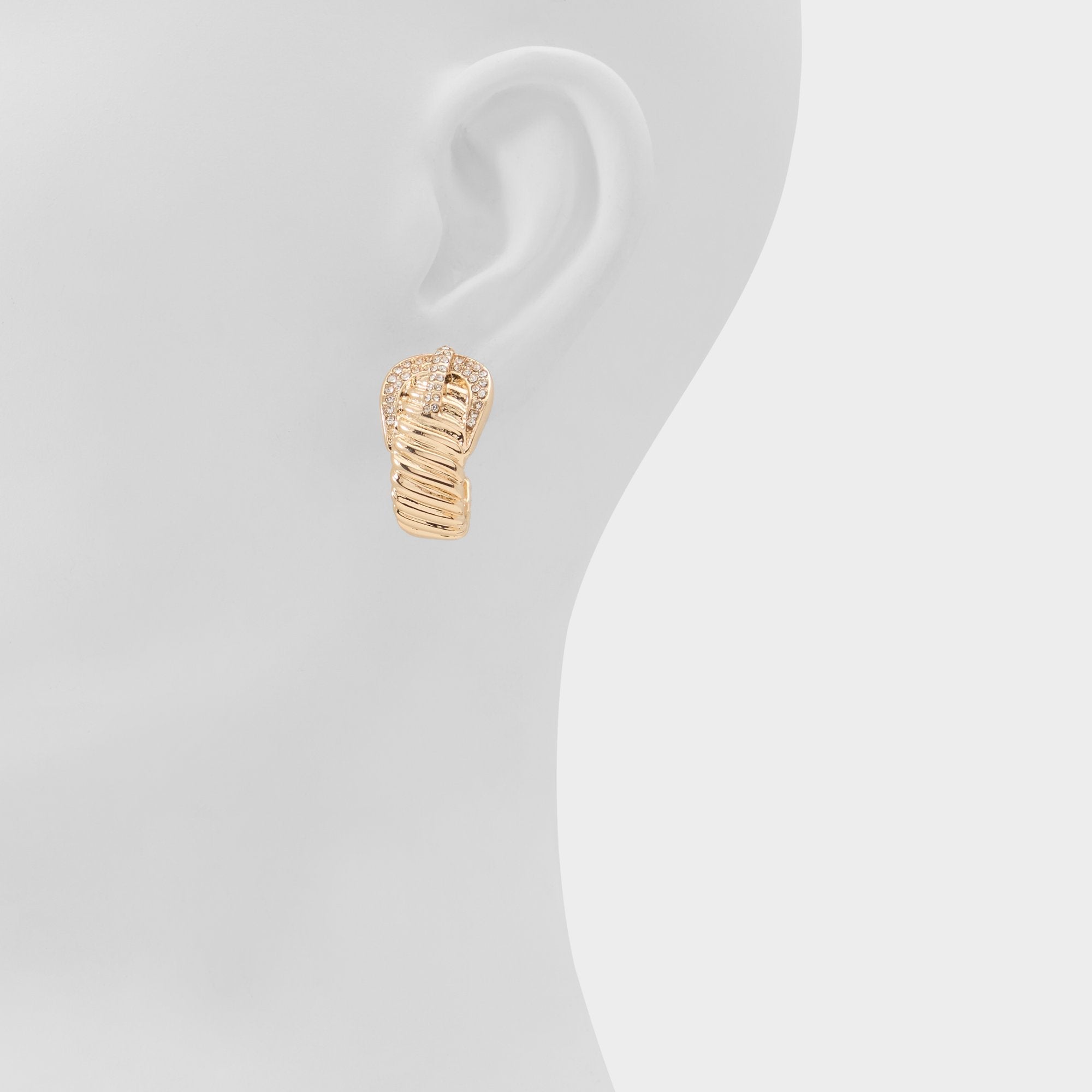 Aldo Cintura in Gold Clear Multi - Hoop earrings Gold/clear multi