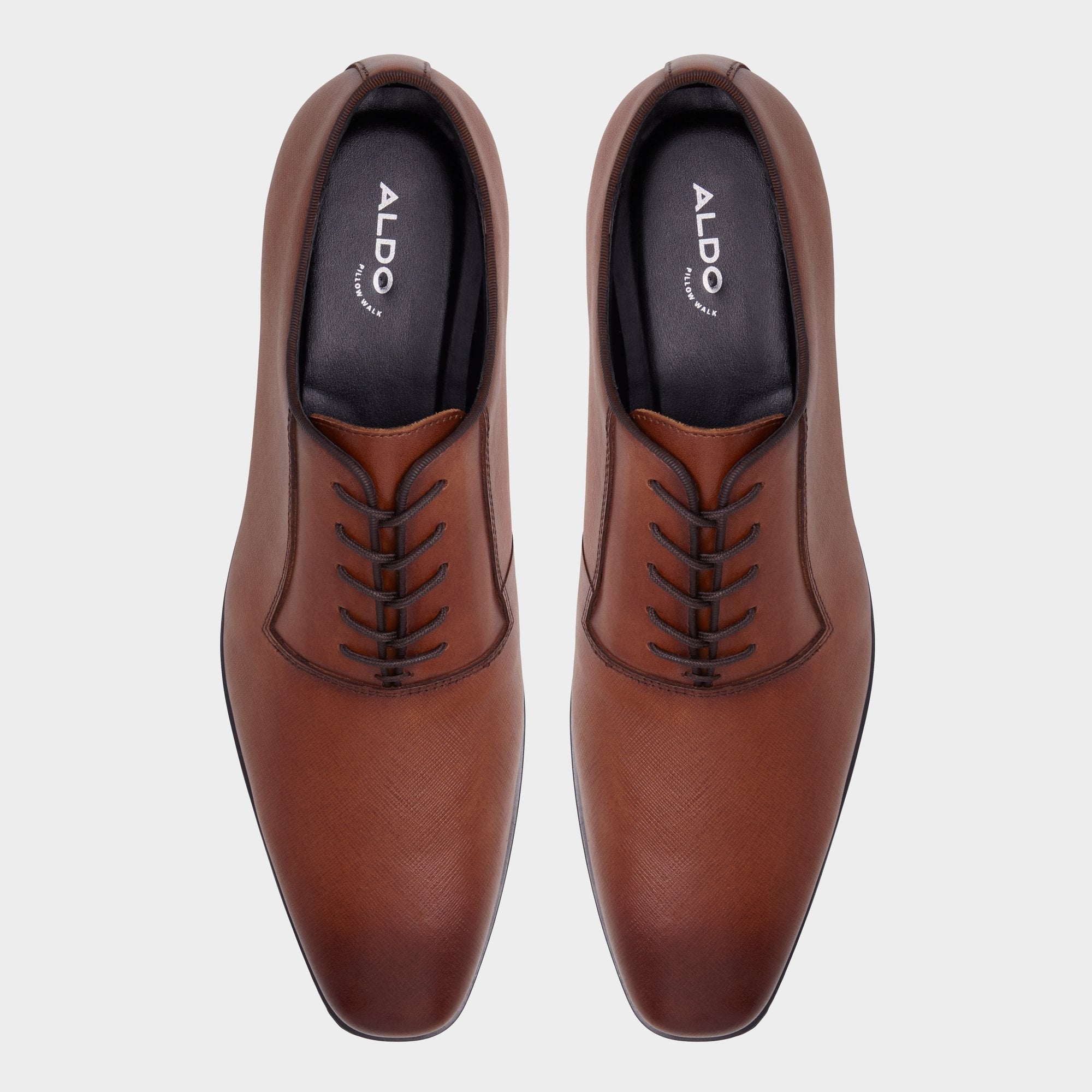 Aldo Biaggoo Cognac Men's Oxfords & Lace-ups - Oxford shoe Cognac