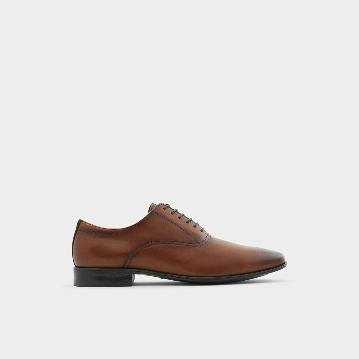 Aldo Nathon in Cognac - Oxford shoe Cognac