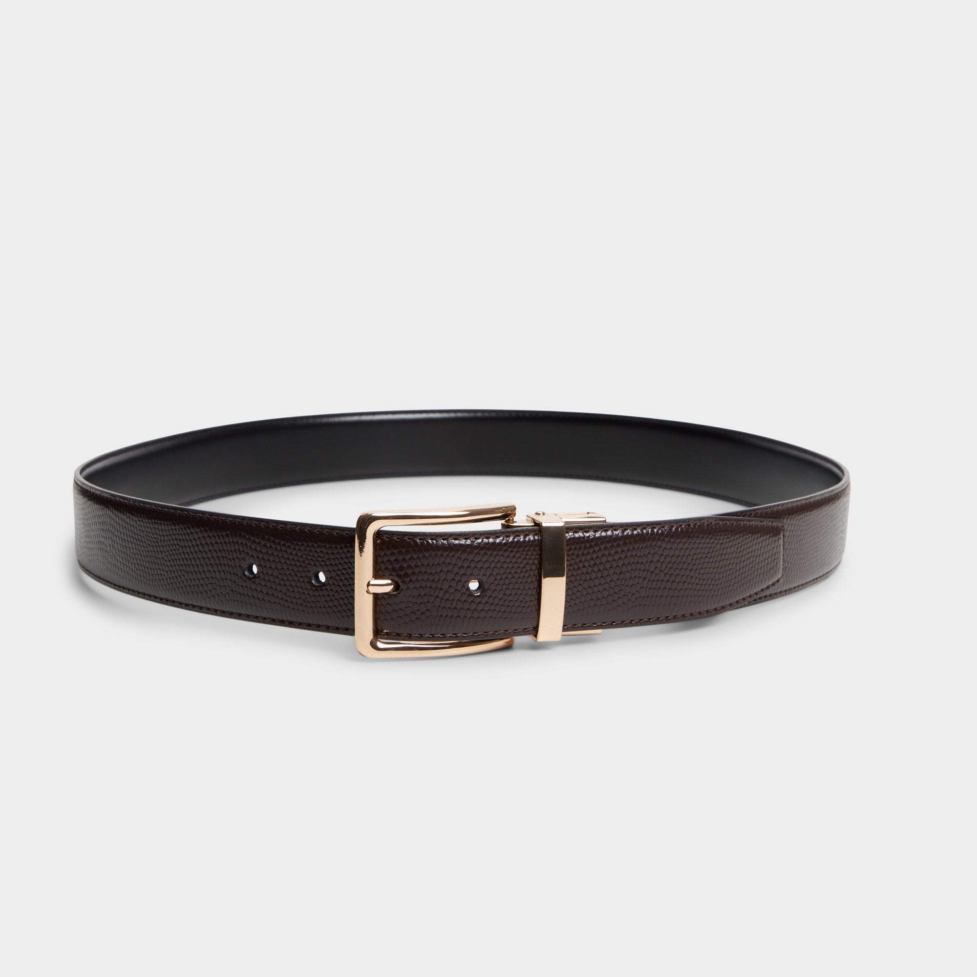 Aldo Nicholas in Dark Brown - Belt Dark brown