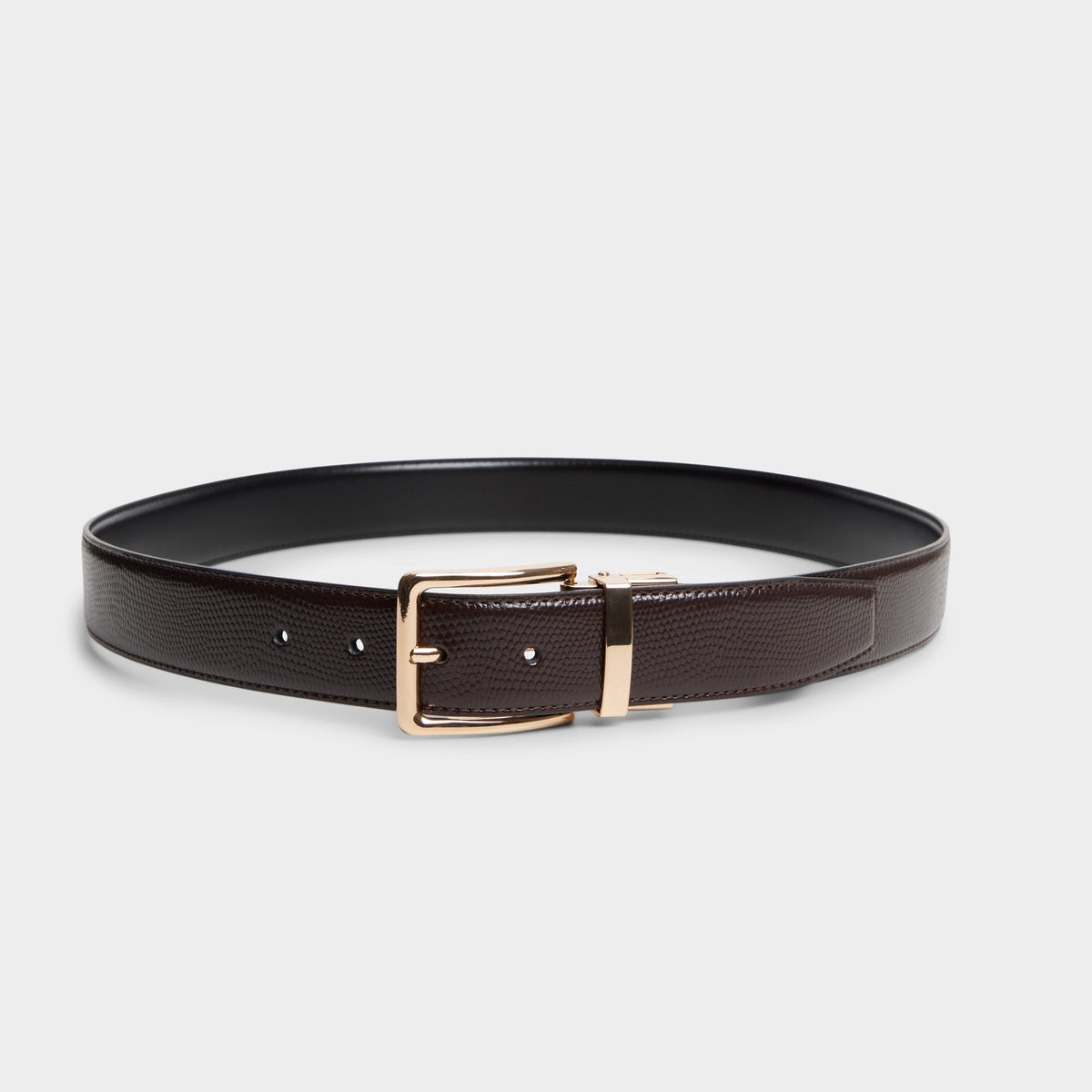 Aldo Nicholas in Dark Brown - Belt Dark brown